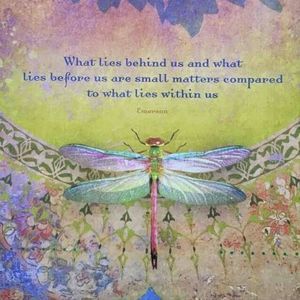 Meet your Posher, Vickie